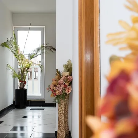 Jelic מוטל Krasevo